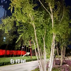 桥东区小吃街(察哈尔世纪广场店) User Photo
