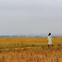 黄记越南卷筒 User Photo
