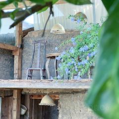 青禾文创田院 User Photo