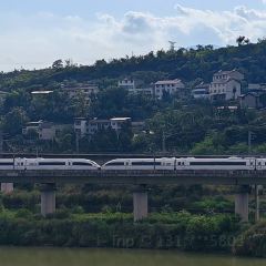 清真老郑家 User Photo