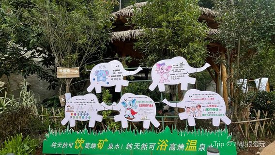 Elephant Trunk Hill Hot Spring Forest Park