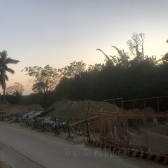迎仙大排档(南堤路店) User Photo
