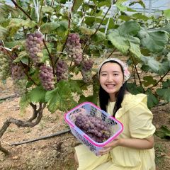隐荷茶舍酒馆 User Photo