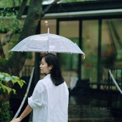 青芷森林·咖啡店 User Photo