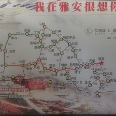 鲜椒鱼·雅安地标性美食 User Photo
