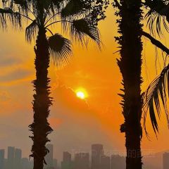 品味·潮汕牛肉火鍋（青澳灣北迴歸線廣場店）張用戶圖片