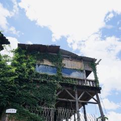 一木草堂咖啡馆 User Photo