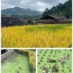 不老岛海鲜火锅 User Photo
