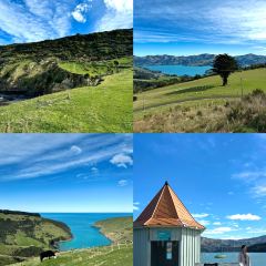 Akaroa Fish & Chips User Photo