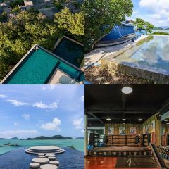 Baba nest User Photo