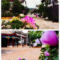 Near No.301 Provincial Road ảnh của người dùng