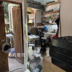 Yook Samai User Photo