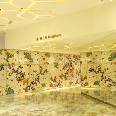 Morpheus Lounge User Photo