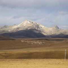 猫屎咖啡(天全服务区店) User Photo