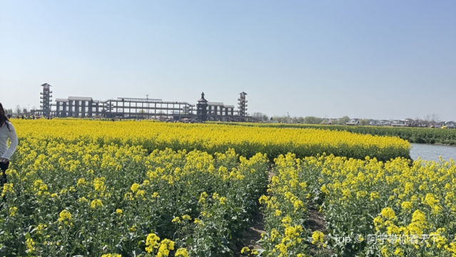 xing hua qian dao cai hua feng jing qu