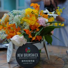 馋·canfa User Photo