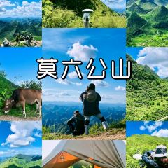 莫六山房莫六公农庄 User Photo