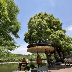 南泊湾红房子生态庄园(二环路店) User Photo