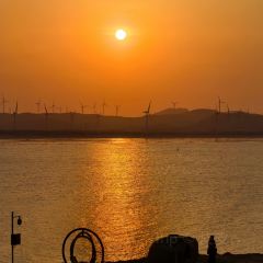 Qilinshuju User Photo