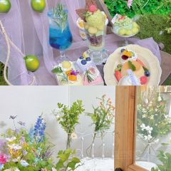 pink&house花与蛋糕 User Photo