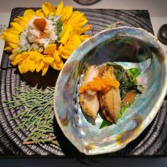 TOKI 여행 사진