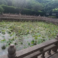 奥灶馆 User Photo