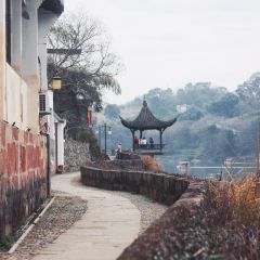 两棵树馄饨店(渔梁住保小区店) User Photo