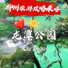 铛牛佬牛肉牛杂火锅城(江滨店) User Photo