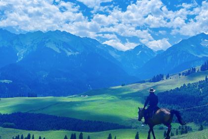 点将台星空营地(博乐赛里木湖店)·自助餐厅