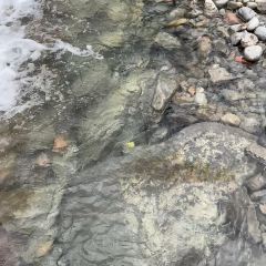 西岭驿游人服务中心西岭小厨 User Photo