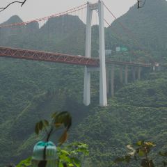 黄果树匠庐·阅山民宿·梧桐树餐厅·咖啡 User Photo