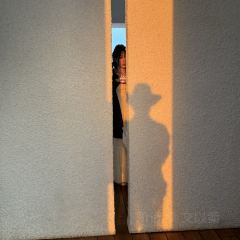 SHINKAI 여행 사진