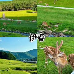 LAO YU WENG BEN GUO DUN 여행 사진