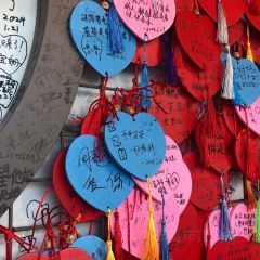 JIANGNAN A Liu Tou User Photo