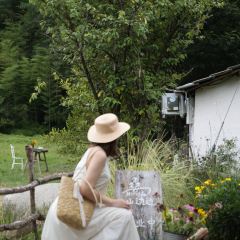 hill side 여행 사진