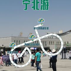 沙湖不夜城 User Photo