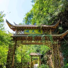 新联生态葡萄采摘园 User Photo