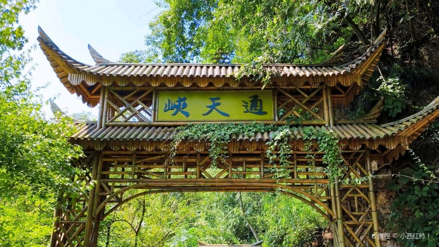 新联生态葡萄采摘园