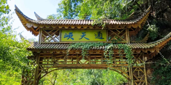 新聯生態葡萄採摘園