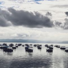 抚仙湖大知闲闲民宿·掌间 User Photo