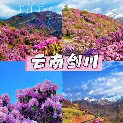 咱媽家·海菜包子（長峰店）張用戶圖片