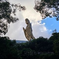 海峡食府海鲜大排档 User Photo