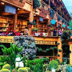 芋見張宜花園（鹽邊預告店）張用戶圖片