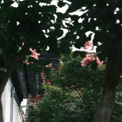 牡丹园·灵岩山房 User Photo