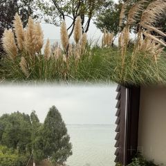 Yi Feng Court User Photo