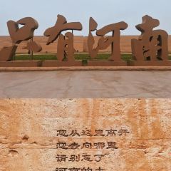 ZHENG XI WANG User Photo