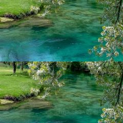 卡万金特色藏餐 User Photo