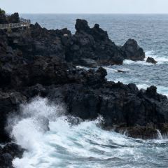 合你意海鲜饭店(双月湾虹海湾店) User Photo