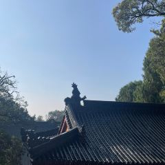 RONG CUISINE 여행 사진