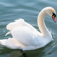 古兰丹姆冰激凌店 User Photo